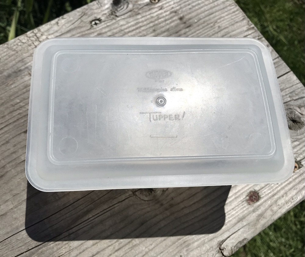 Tupper #162 Millionaire Lime Vintage Lidded Container Clear Rectangle