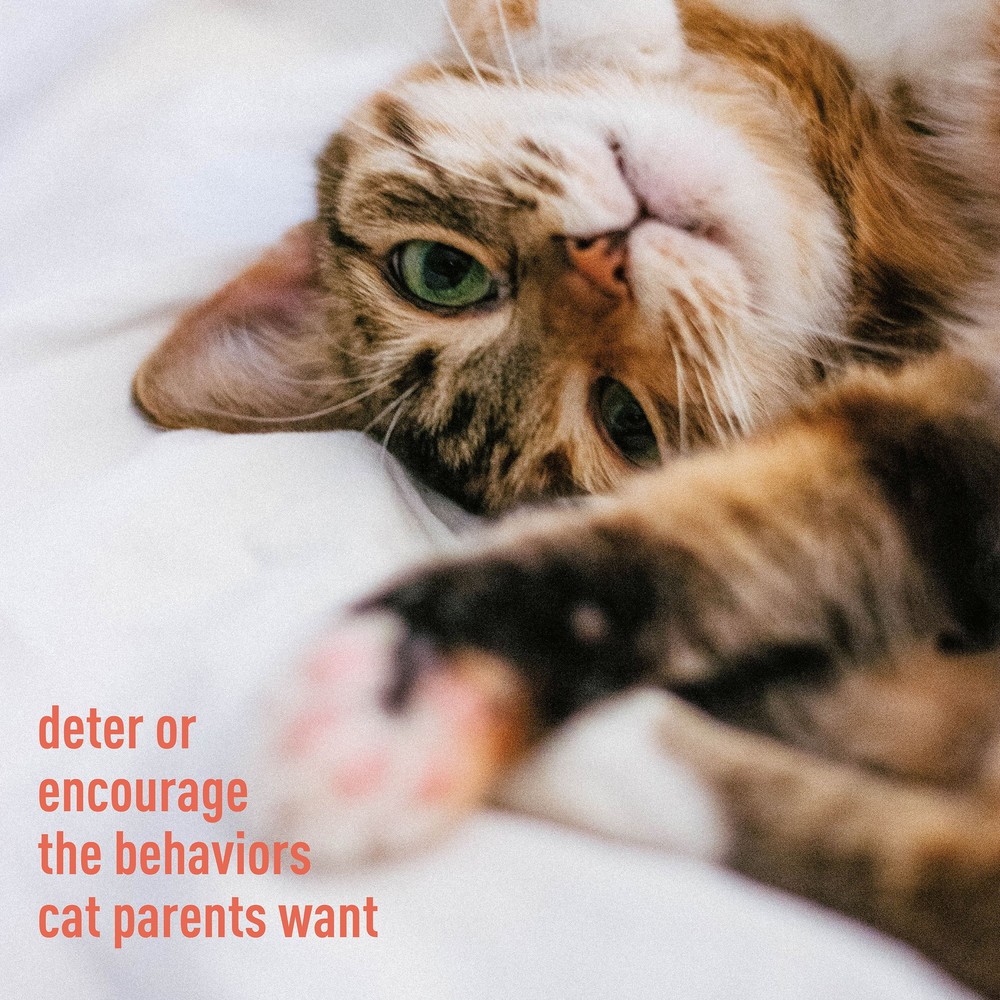 Messy Pet Training Deterrent Spray Helps Stop Scratching, Other Bad Cat Behavior