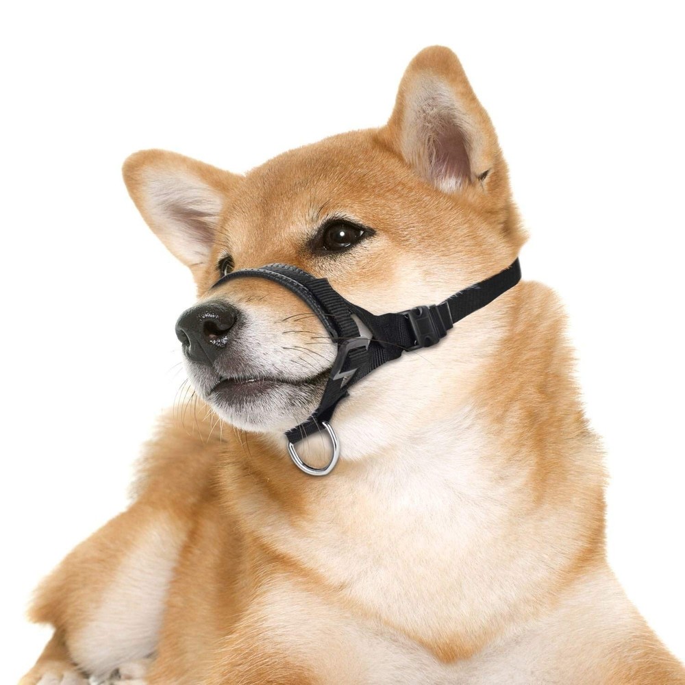 Nylon Dog Muzzle for Small,Medium,Large Dogs Prevent from Large, Blue