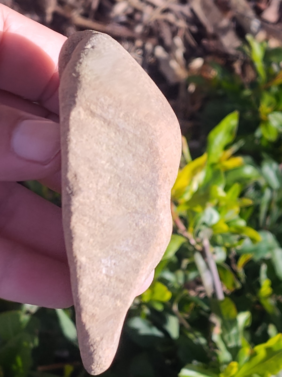 Indian Artifacts Gorget Pendant Drilled Banded Slate