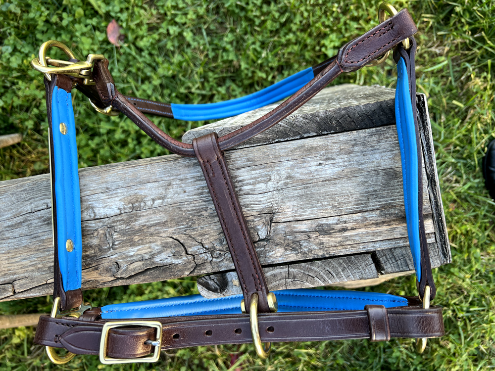 Leaders 3/4" Leather Halter Royal Blue Padding with Solid Brass Hardware