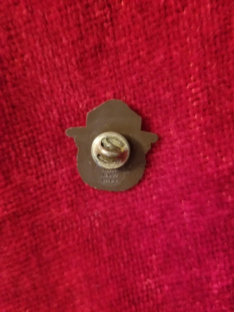 SMOKEY THE BEAR Plastic Lapel Pin