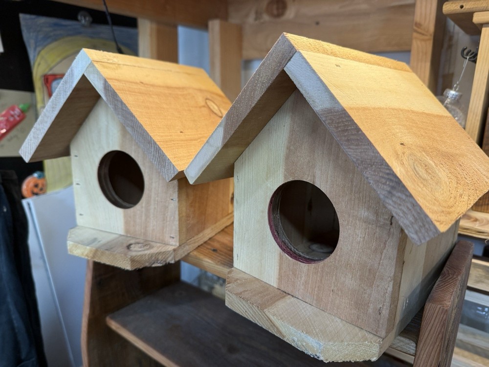 Cedar Bird House