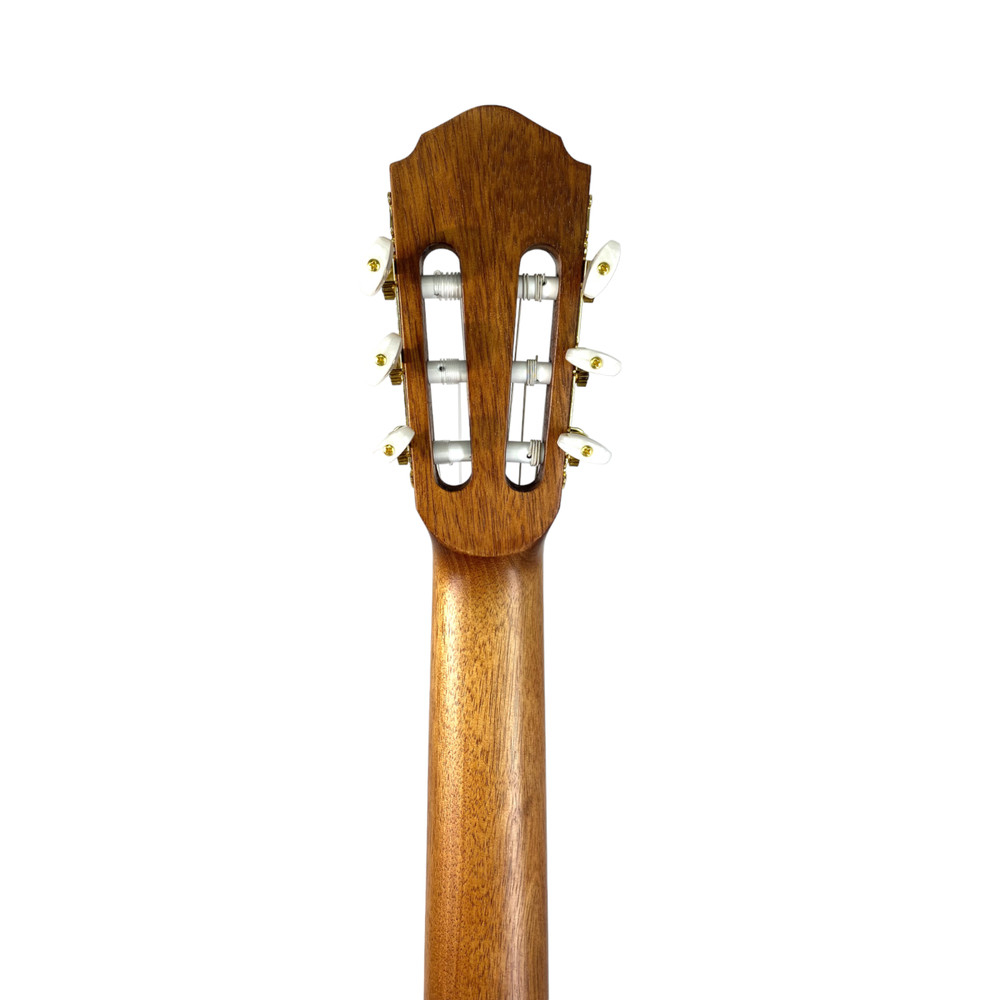 Haze Solid Top Fretless Arched Back Classical Guitar - Matte C551BCEQSMFL