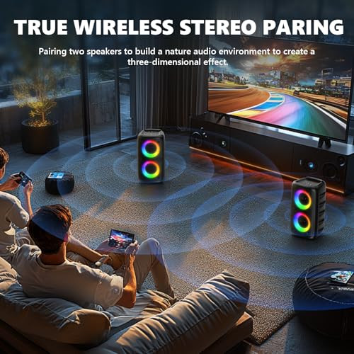Karaoke Machine, Portable Bluetooth Speaker with 2 Wireless Karaoke