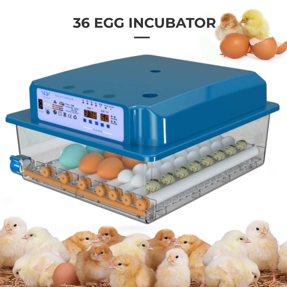 36Egg Incubators for Hatching Eggs with Automatic Egg Turning and Egg Candler US