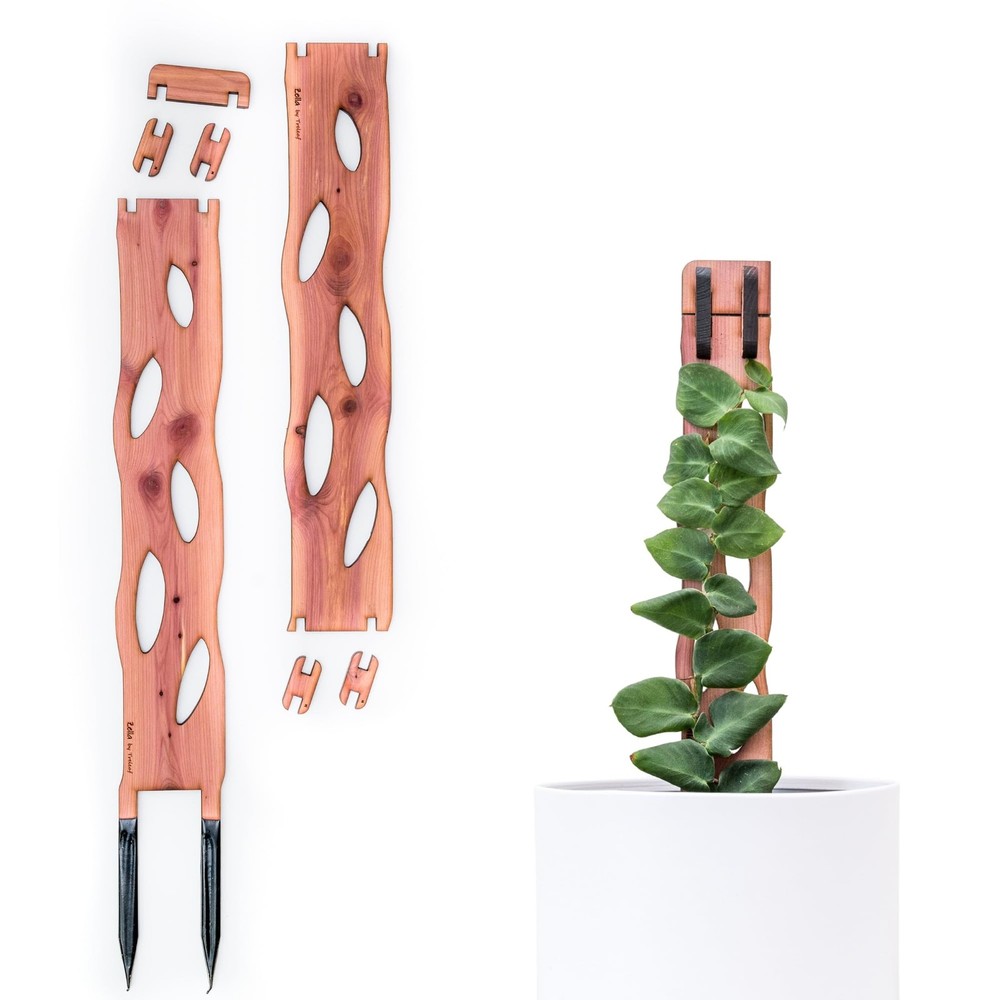 Treleaf Zella Regular Starter Kit – Wooden - Kit, Cedar