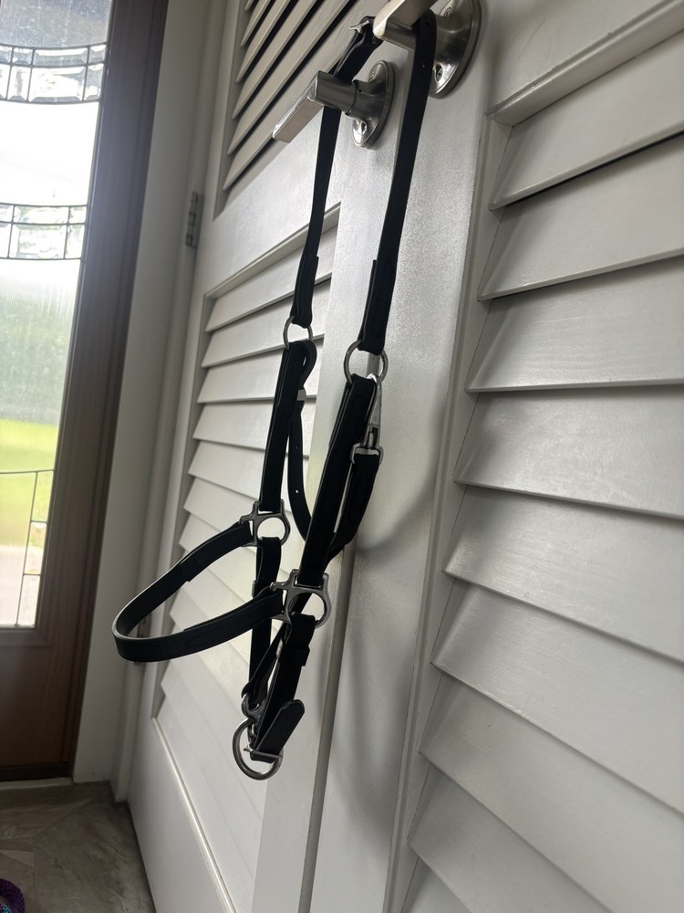 Black Beta Biothane Arab/Cob Halter