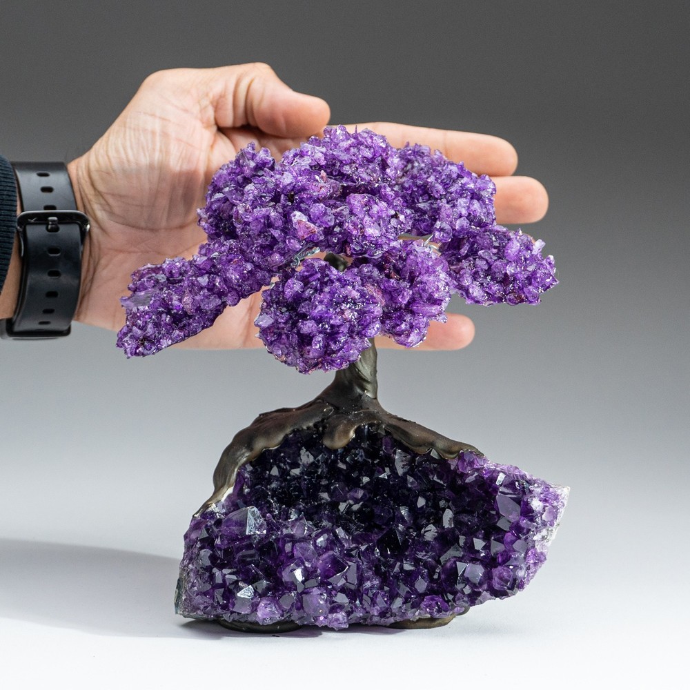 Amethyst Clustered Gemstone Tree on Amethyst Matrix (The Protection Tree) 7"