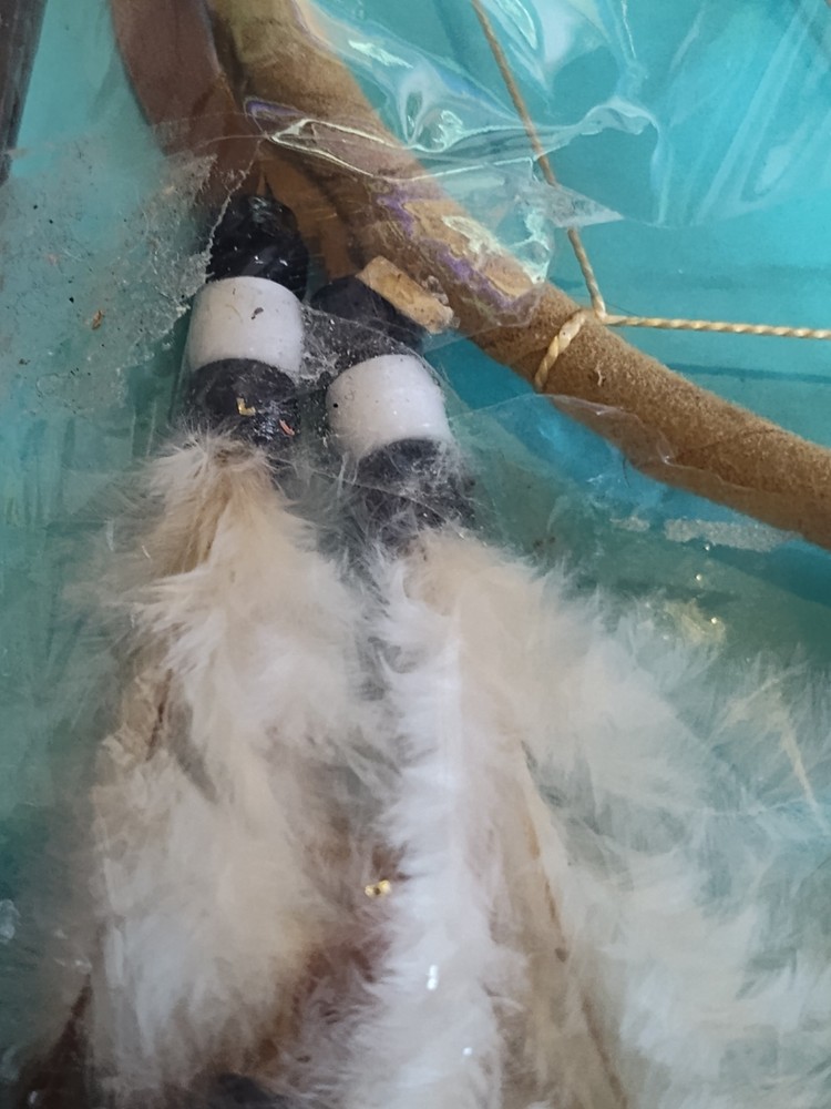 Native American Dream Catcher