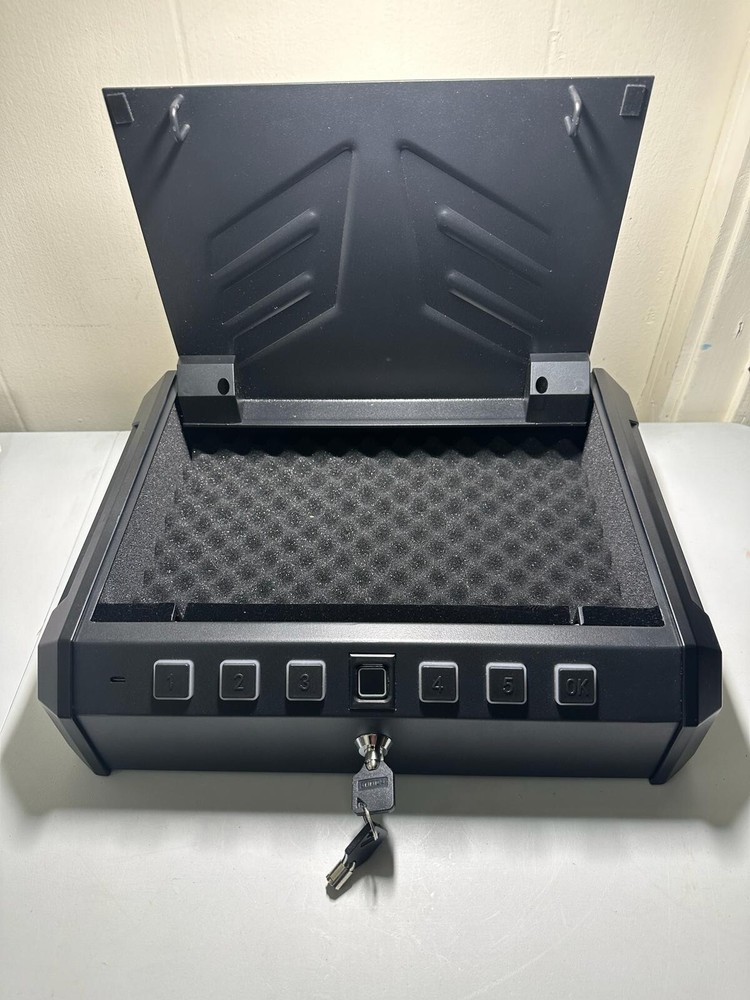 Gun Safe, Biometric Safe Box for 2 Pistols