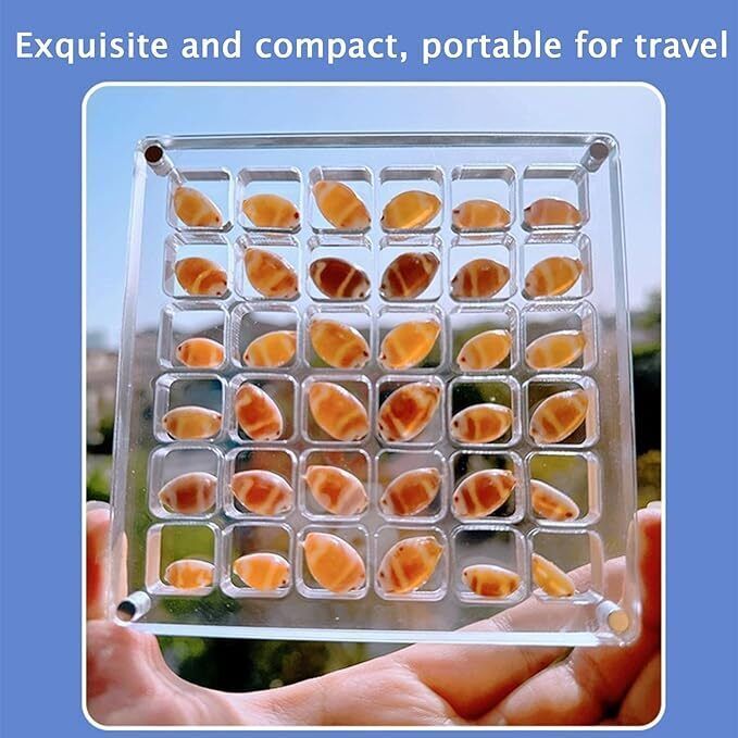 Acrylic Magnetic Seashell Display Box, 36/64/100 Grids Seashell Display Box