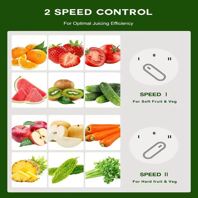 All In One Multi-Function Juicer