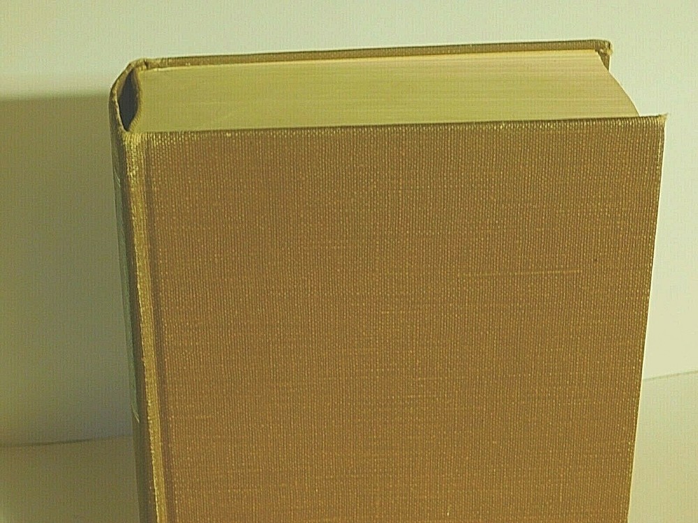 The Empathised Bible