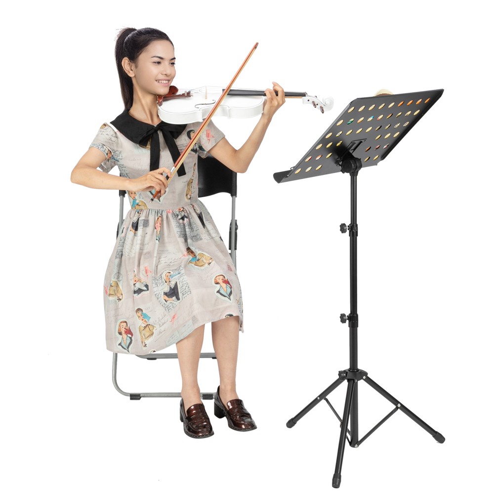 Beginner 4/4 Violin Set White Spruce Maple w/Accessories Professional