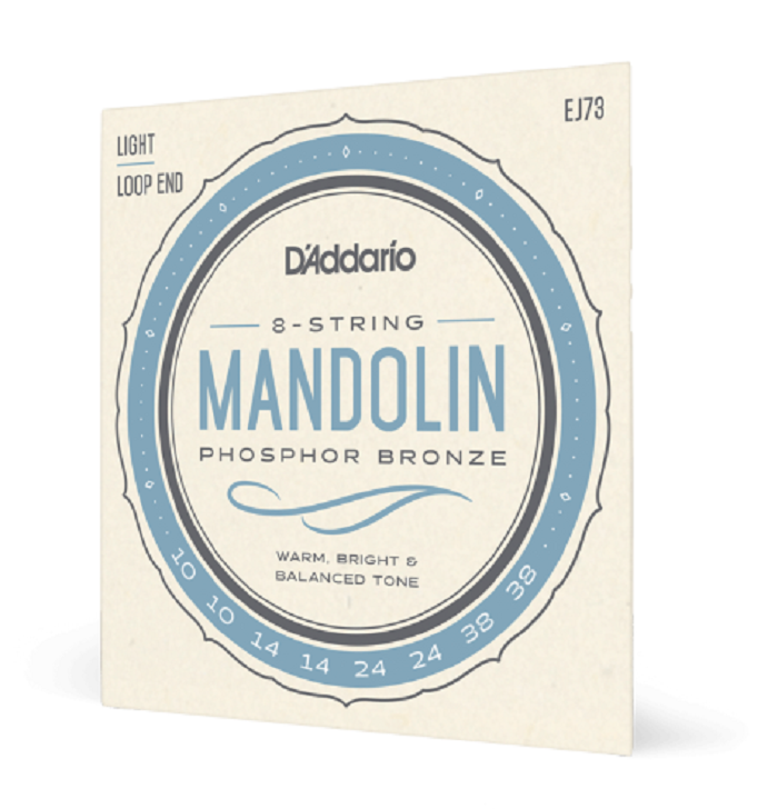 D'Addario EJ73 Mandolin Strings Phosphor Bronze Light 10-38