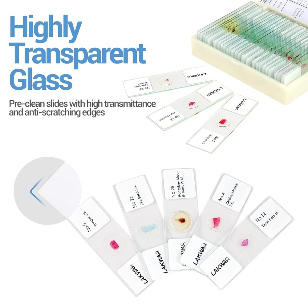 30 Microscope Slides with Specimens for Kids, Prepared Microscope Slides for Kid