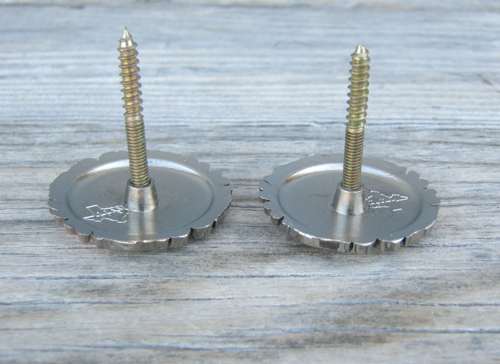 Copper Bloom Antique Nickel Saddle Concho Set Screw Backs