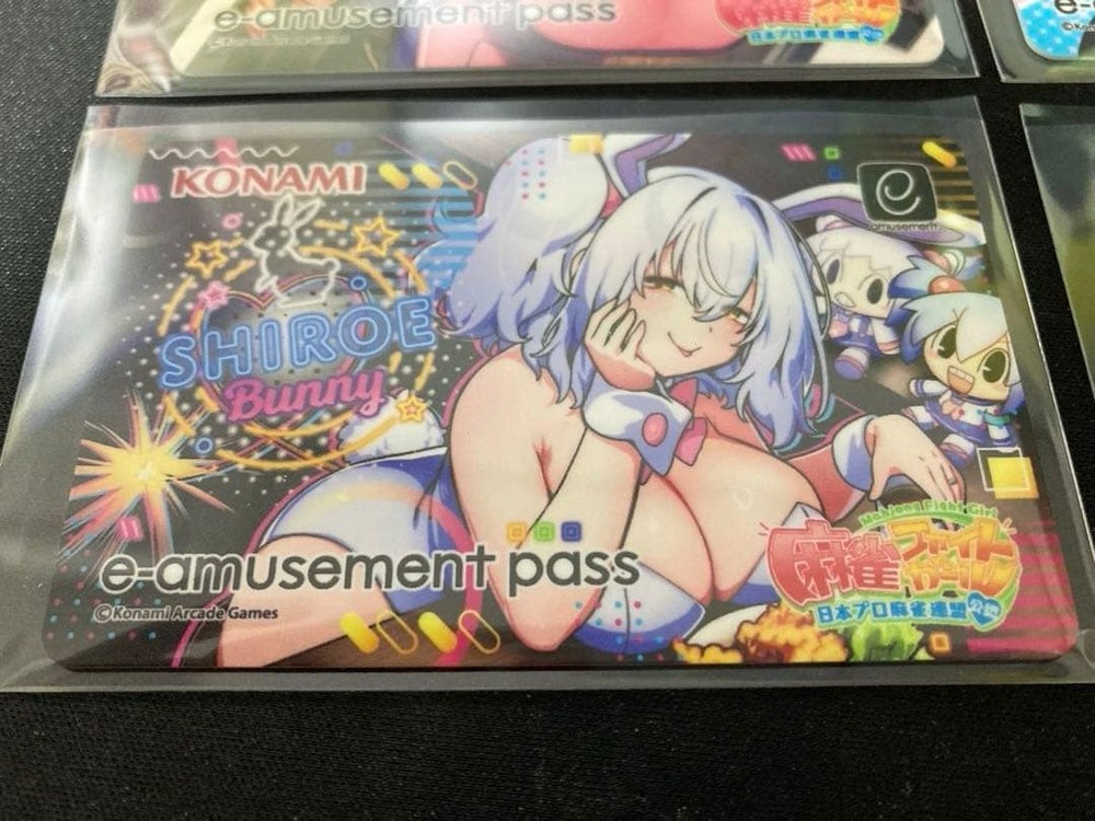 E-Amusement Pass Shiroe 4-Piece Set