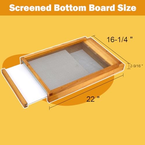 10 Frame Beehive Kit with Screened Bottom Board Dipped in Heavy 2-Layer
