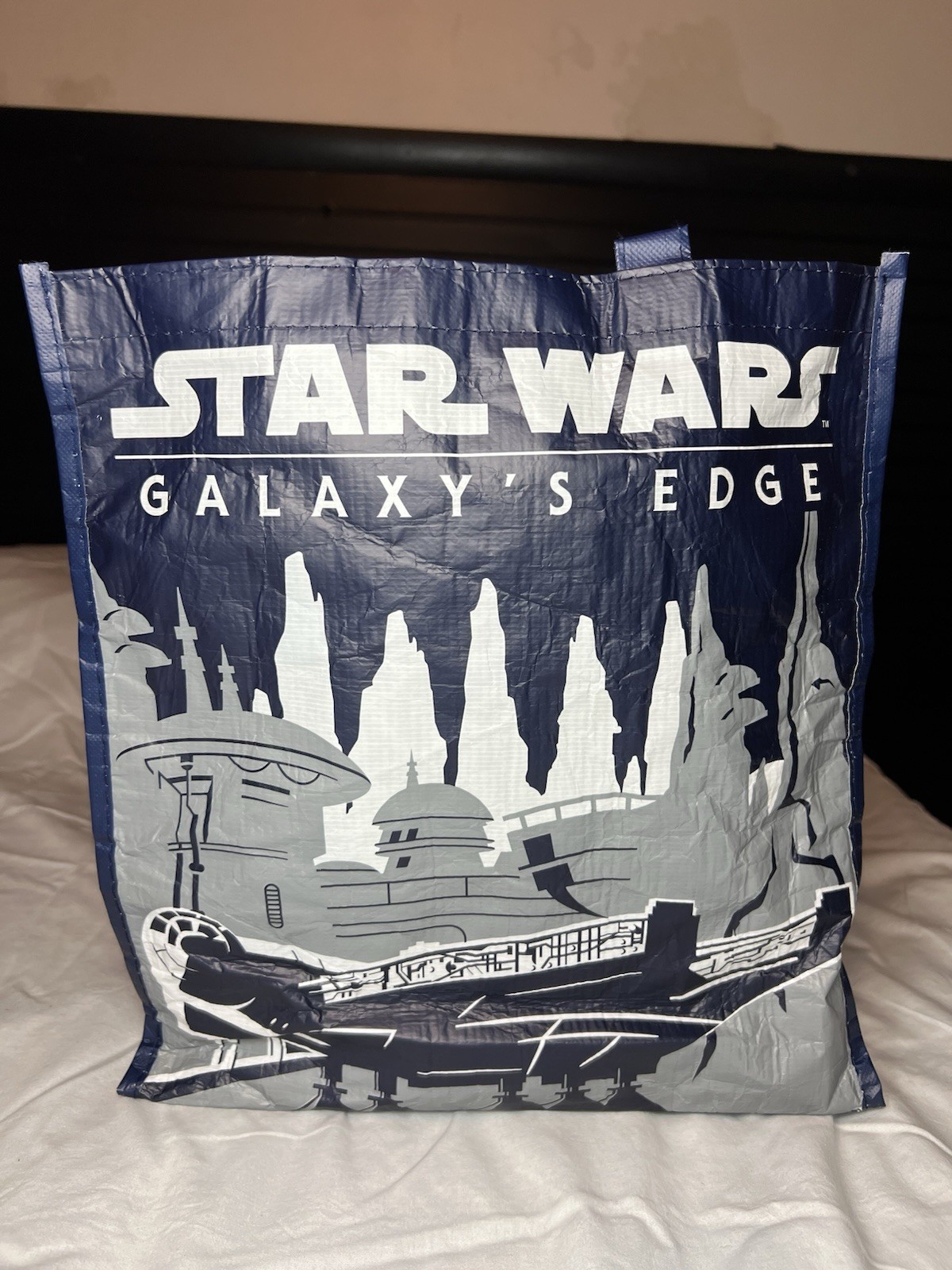 Disney Parks Star Wars Galaxy's Edge OPENING Landing 2019 Tote Reusable Bag Cast