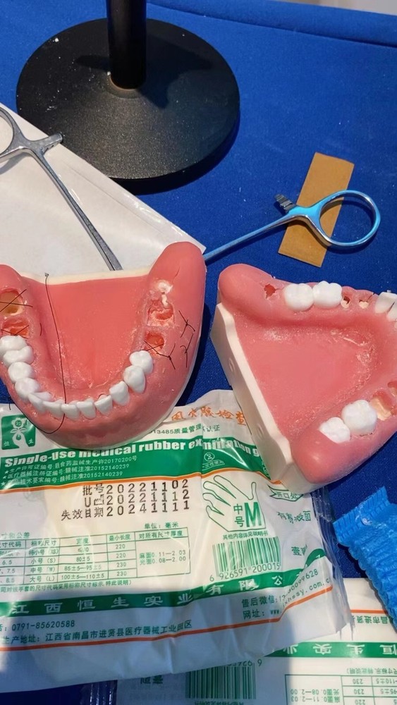 Maxillary+mandibular Tooth Extraction Practice Model Dental Typodont Teeth