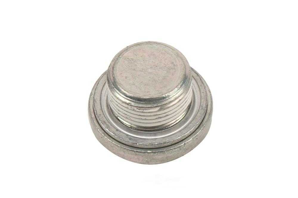Engine Timing Chain Guide Rail Plug