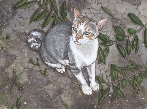 Cat Tabby Blank Note Card