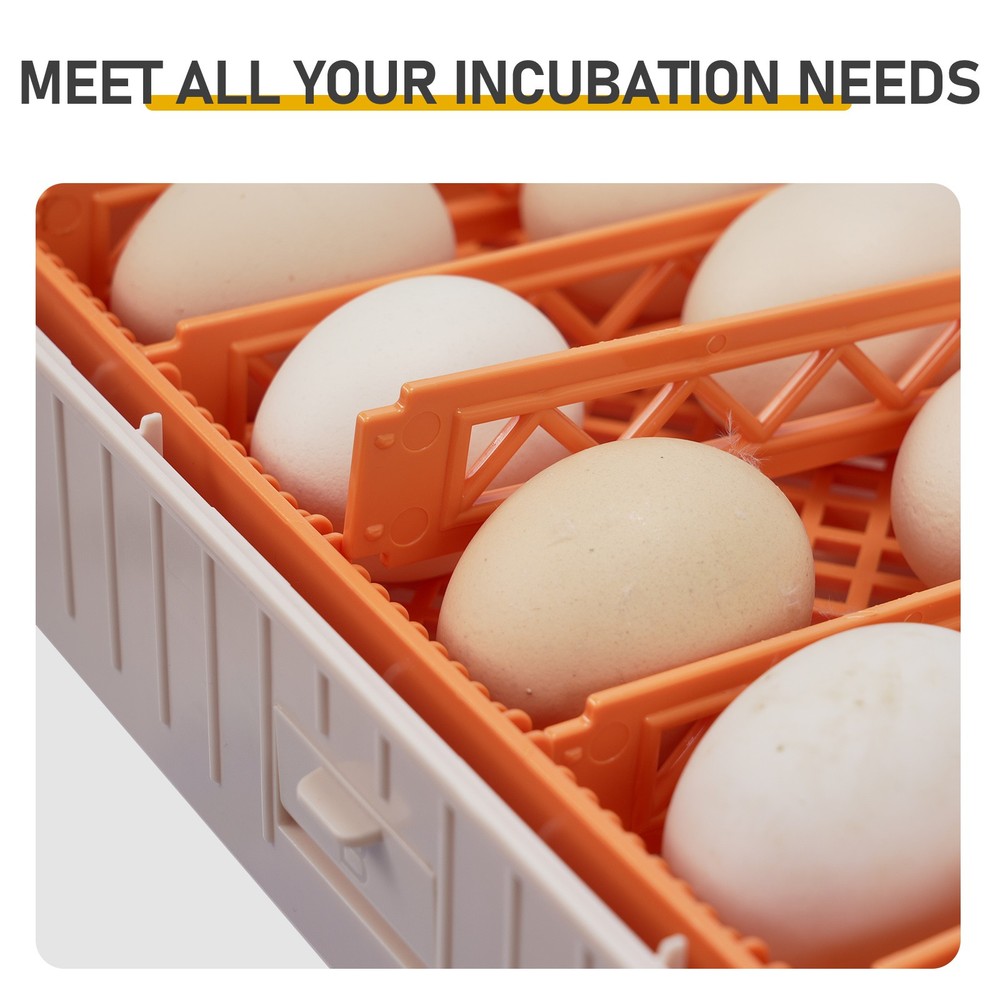 56 Egg Incubator with Automatic Egg Turning and Humidity Control 360° Viewing