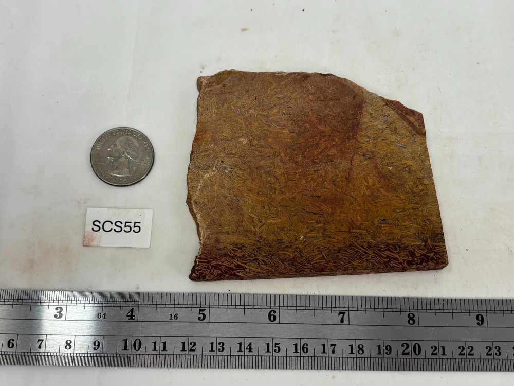 Script Stone Jasper Slab Cabbing Lapidary Collecting Combo Ship Avail