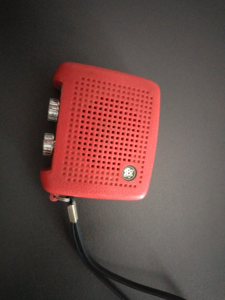 vintage 70s radiolina