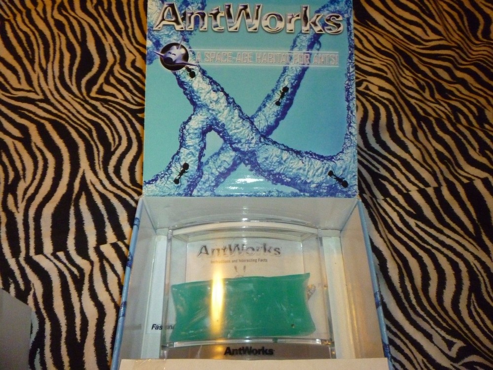 Ant Works Illuminated - Open Box