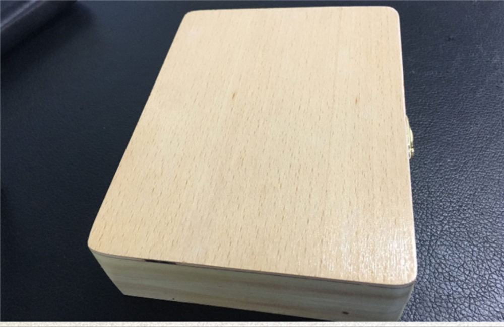 Microscope Slide Storage Wooden Box Specimen Holding Storage Case with Lock