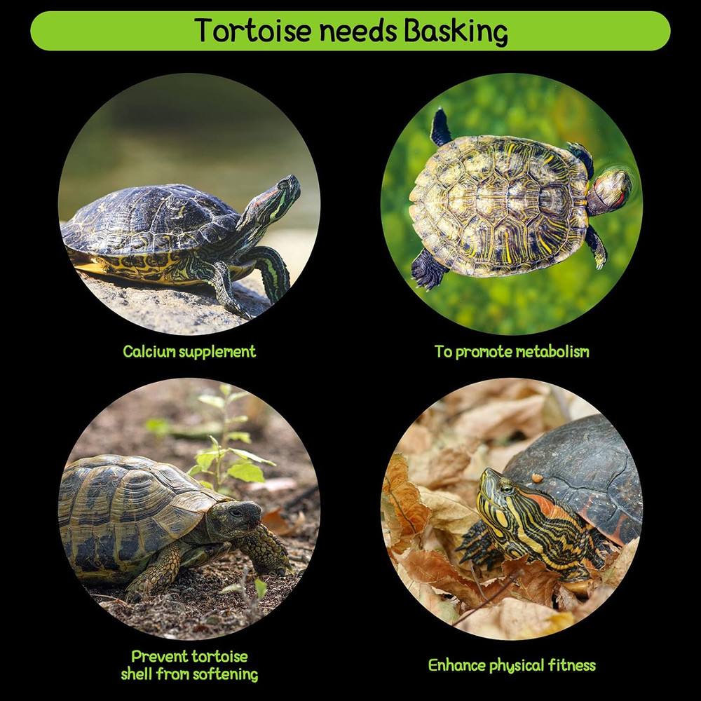 2 Pieces Turtle Basking Platform Simulation Grass Turtle Ramp Lawn Tortoise C...