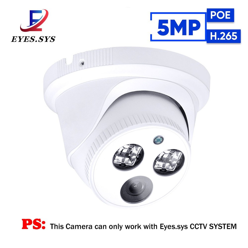 H.265 Array LEDs Full HD 5MP IP Dome Camera For Eyes.sys 15V POE CCTV NVR System
