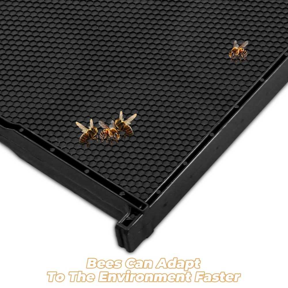 Integrated Beehive Frame with Nest Foundation for Beekeeping Efficiency