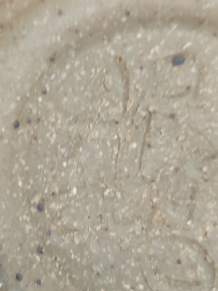 MCM Ceramic Medium Size Vase Featuring A Starfish Raised Art Work EUC