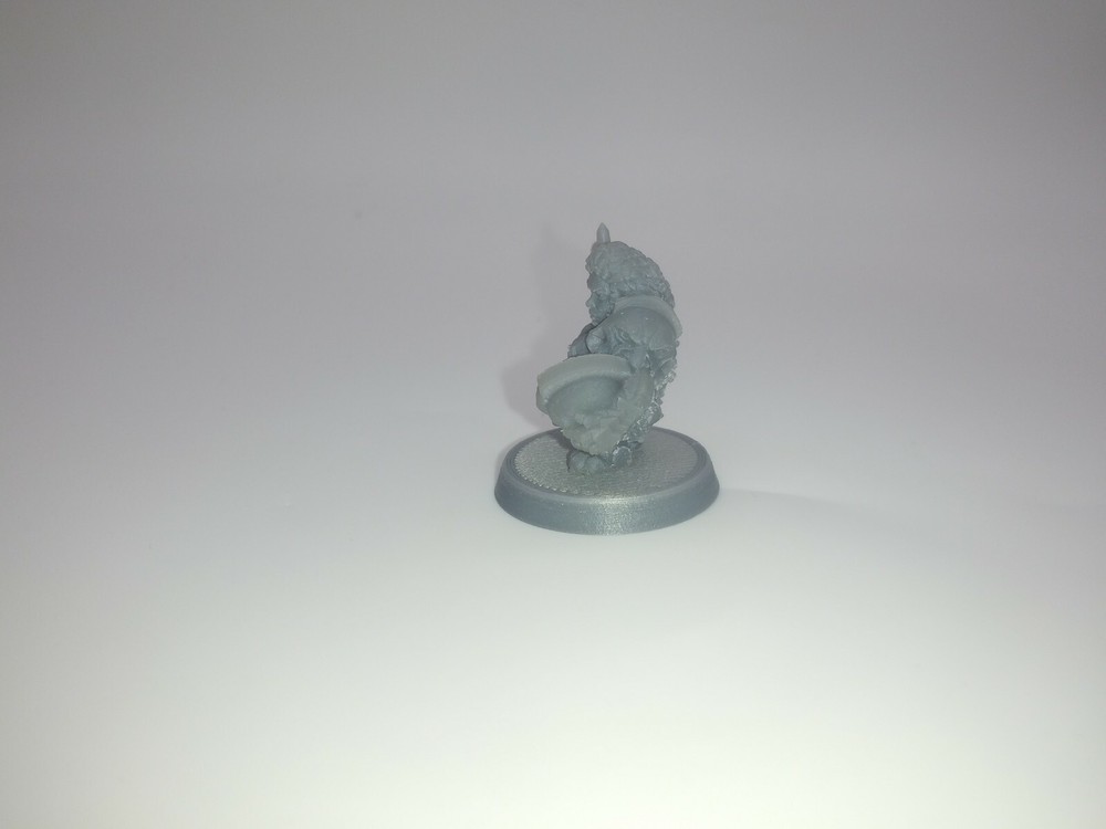 Female Dwarf warrior 