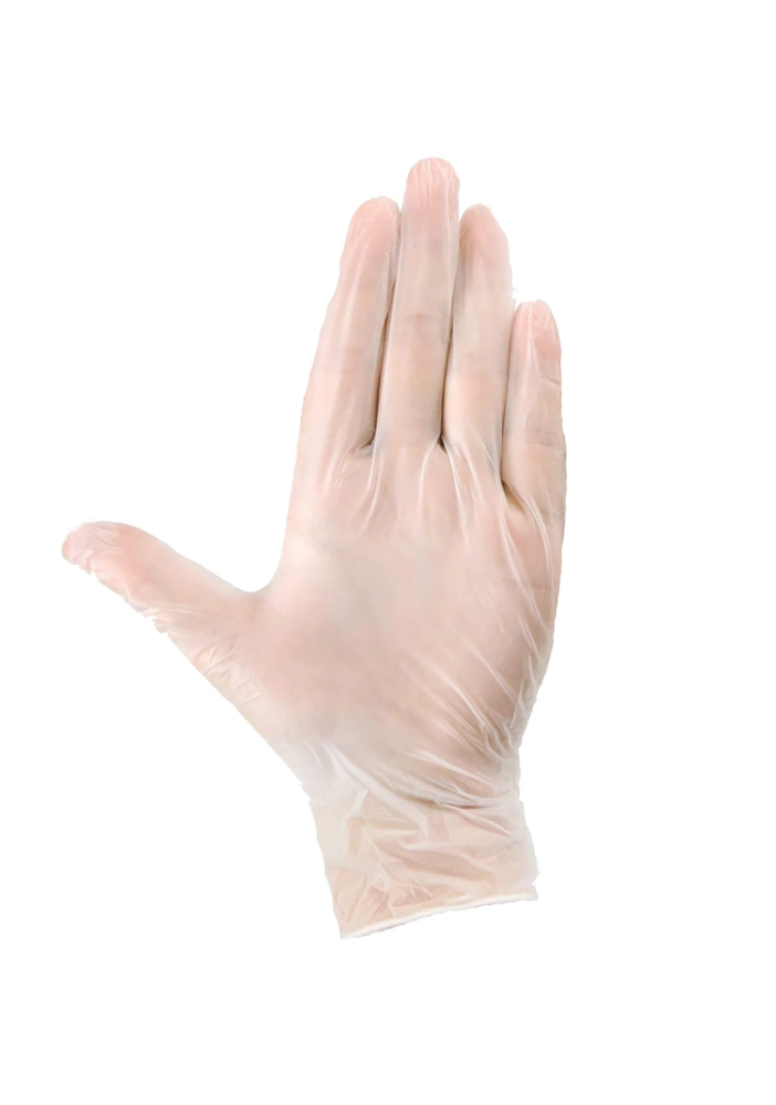 vinyl gloves 500 units large