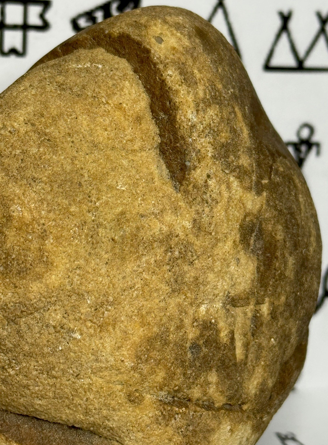 Native American Indian Authentic Artifact Stone Carved Effigy, 1 lb 10 oz • VA