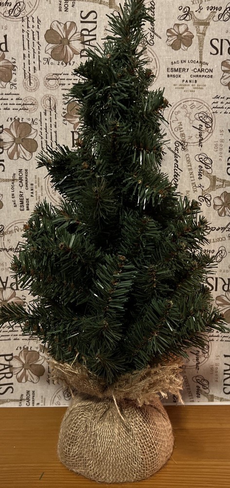 Bloom Room 18" Mini Pine Artificial Christmas Tree in Burlap Base - Unlit