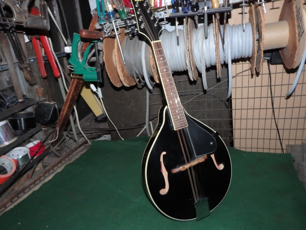 Rogue RM-100A A-Style Mandolin - Black