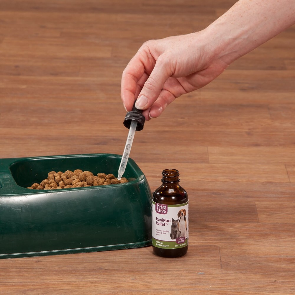 PetAlive RuniPoo Relief 2 Pack