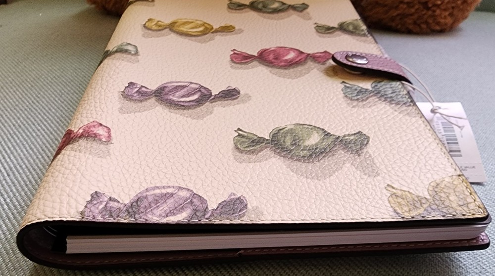 Coach Notebook With Candy Print NWT