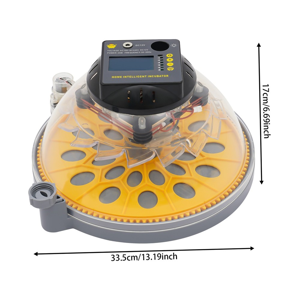 12 Eggs Incubator Egg Turning & Humidity Control Automatic For Hatching Eggs