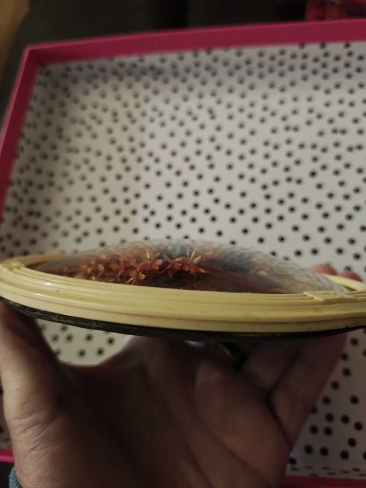 Dried Flowers Dome Art Oval Frame Hanging 5"