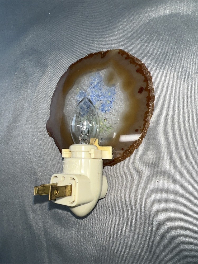 Vintage Blue Bonnet Texas Night Light
