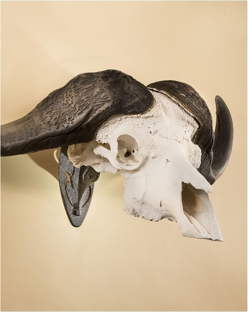 Big Hooker Trophy Mount - Durable Steel for Large Game - Graphite & Brown