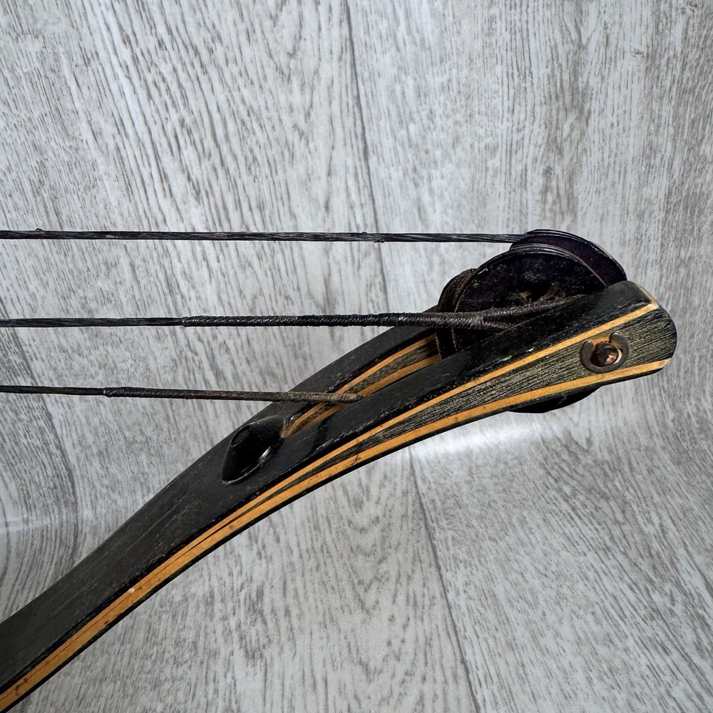 Hoyt ProVantage Hunter Compound Bow