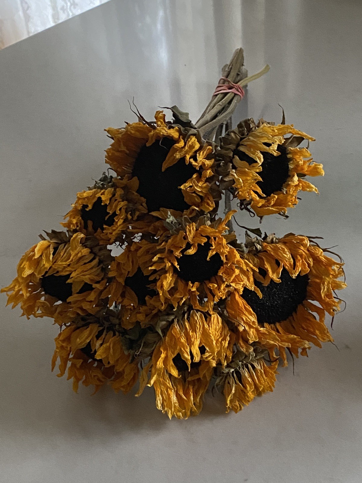 SUNFLOWERS Orange DRIED FLOWER Bunch BOUQUET Bundle USA Grown SUN FLOWERS Auc#2